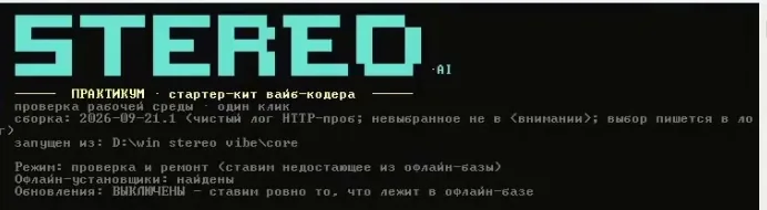 Стартовый пакет вайбкодера StereoVibe: проверка рабочей среды